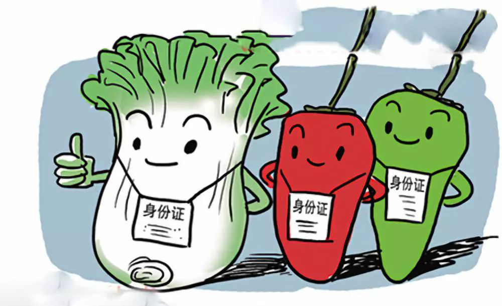 2020年土壤修复行业政策与发展前景