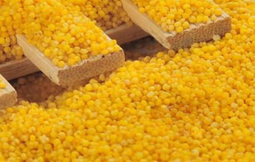 粗脂肪测定仪在测量上的优点